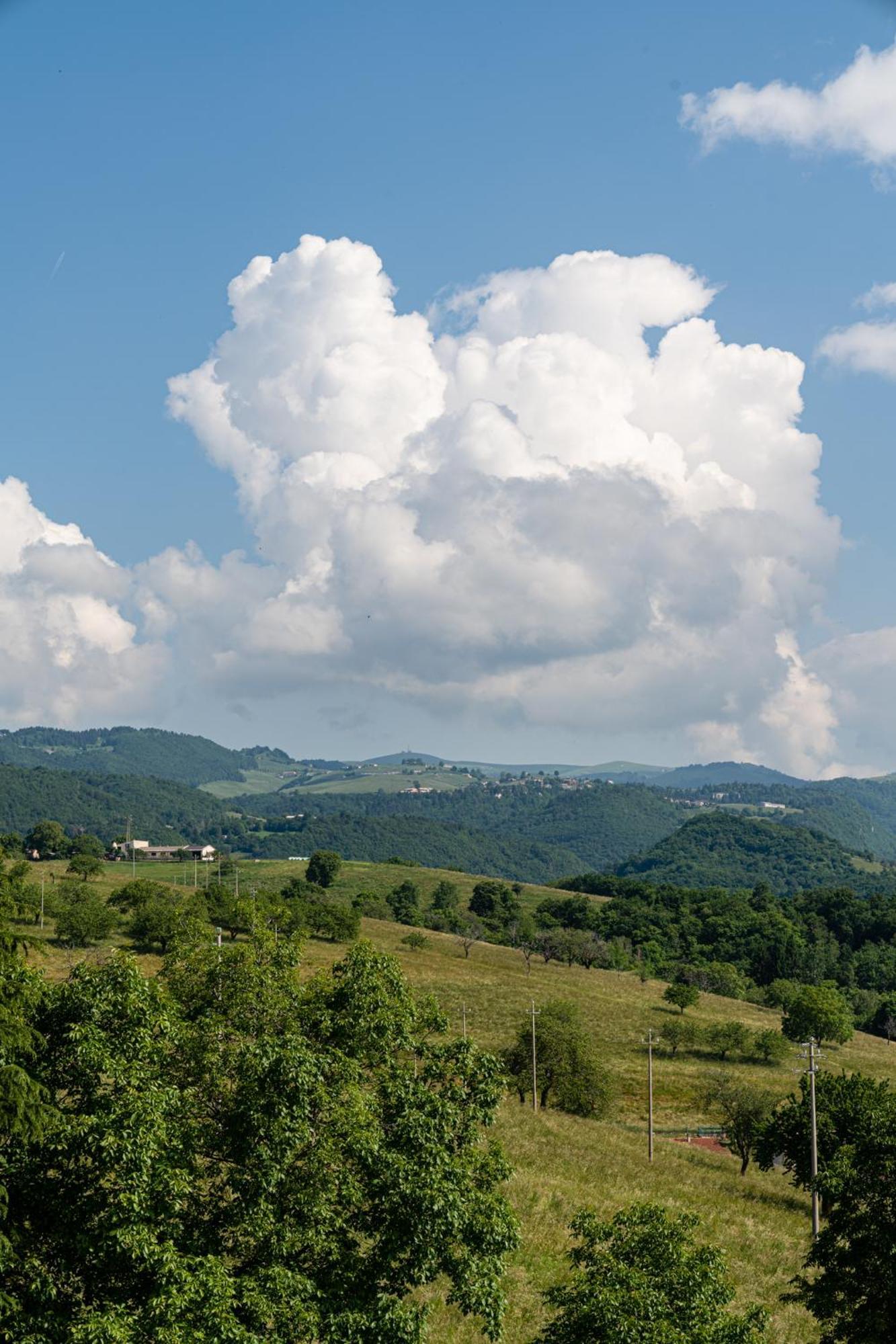 Araldo Eco-Lodge Боско-К'єзануова Екстер'єр фото